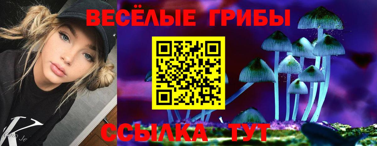 Галлюциногенные грибы ЛСД  Псилоцибиновые грибы Psilocybe  Вход с VPN  Кисловодск 
